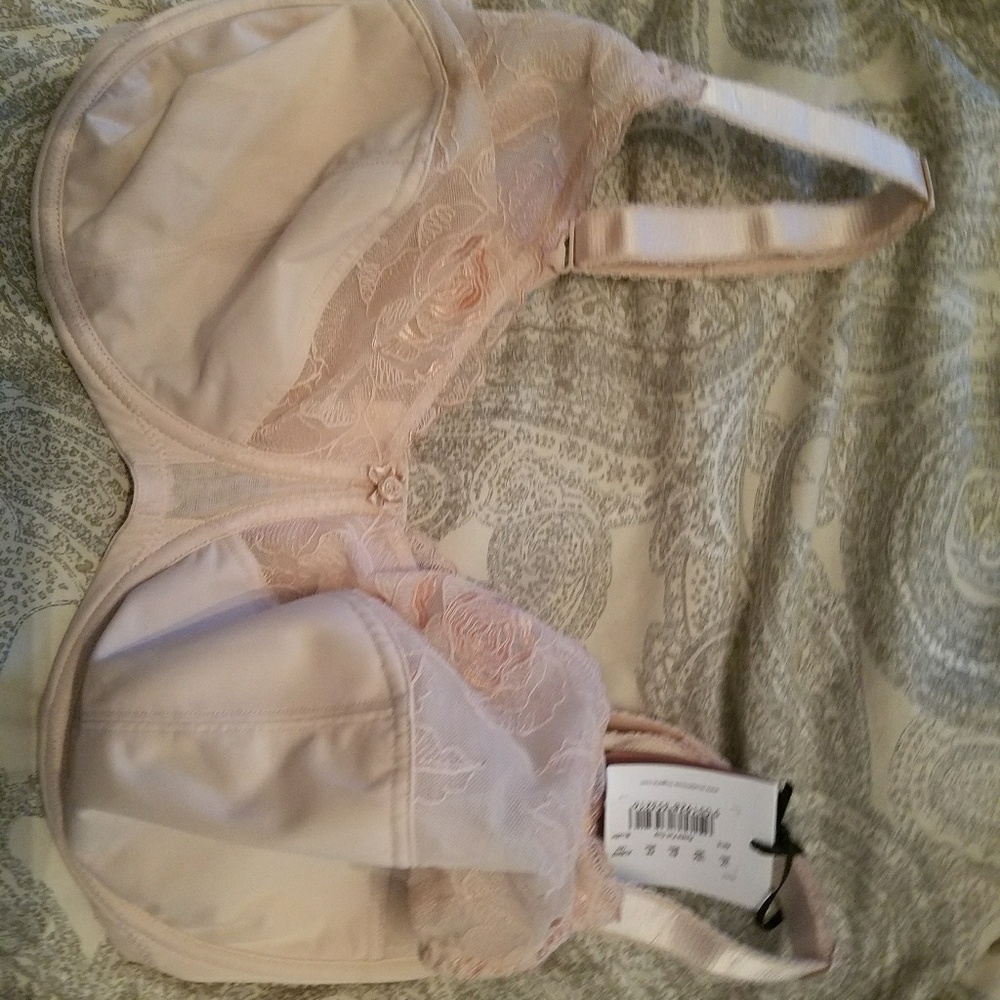 Panache bra, sculptresse